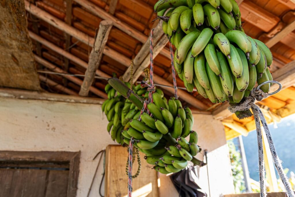 Paisagem rural do distrito de Barro Branco, em Mariana, fotografada em julho de 2025