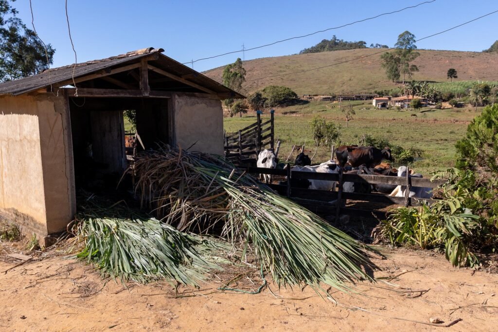 Paisagem rural do distrito de Barro Branco, em Mariana, fotografada em julho de 2025