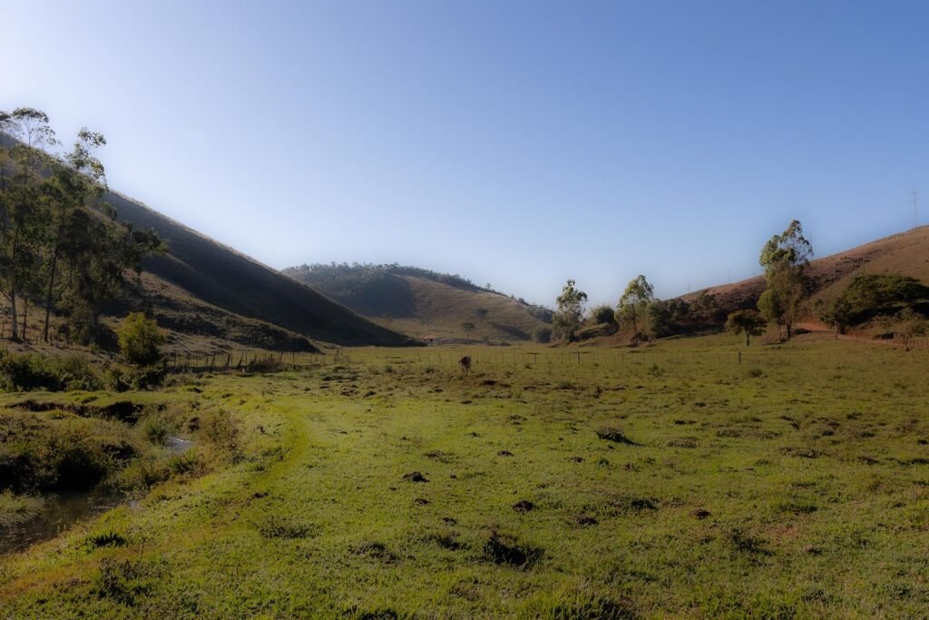 Paisagem rural do distrito de Barro Branco, em Mariana, fotografada em julho de 2025