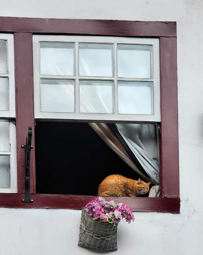 Janela colonial com moldura vermelha e veneziana verde em fachada branca