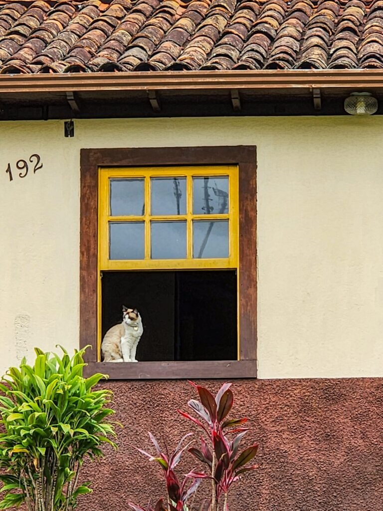 Janela colonial com moldura vermelha e veneziana verde em fachada branca