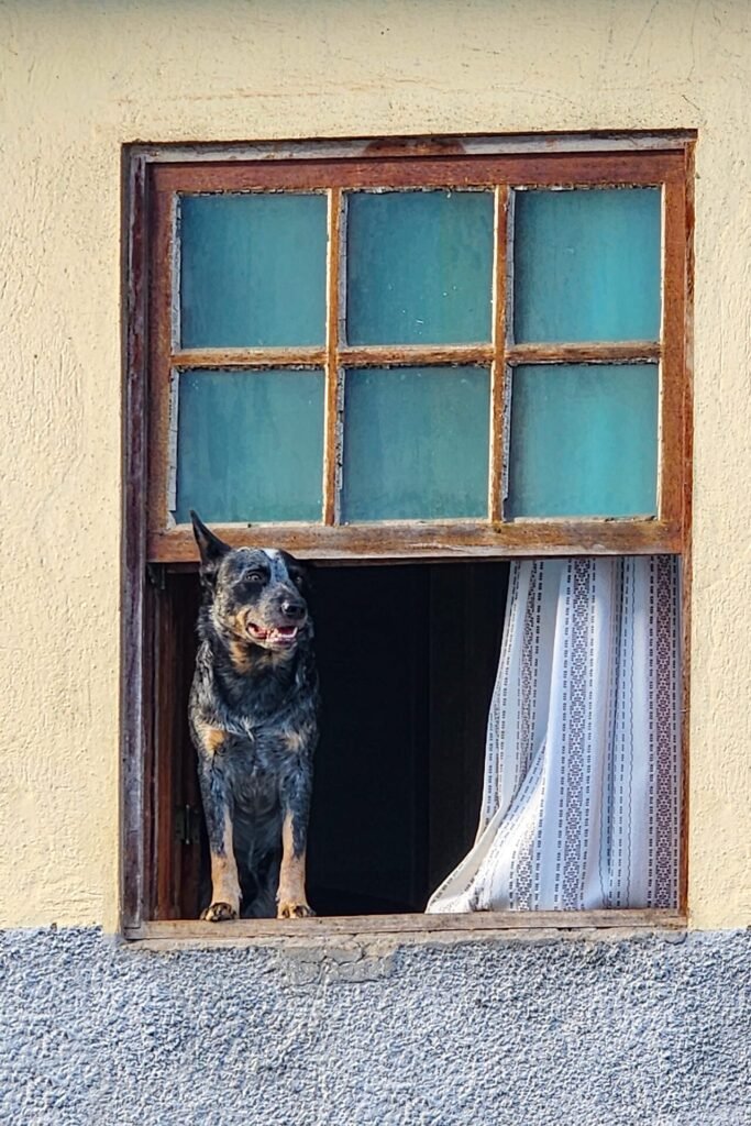 Janela colonial com moldura vermelha e veneziana verde em fachada branca