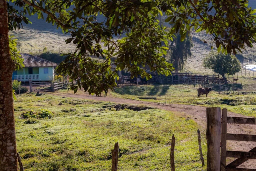 Paisagem rural do distrito de Barro Branco, em Mariana, fotografada em julho de 2025